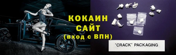 прущие грибы Пересвет