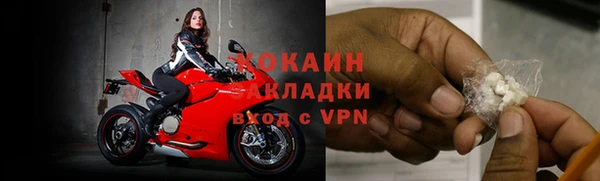 шишки Абинск