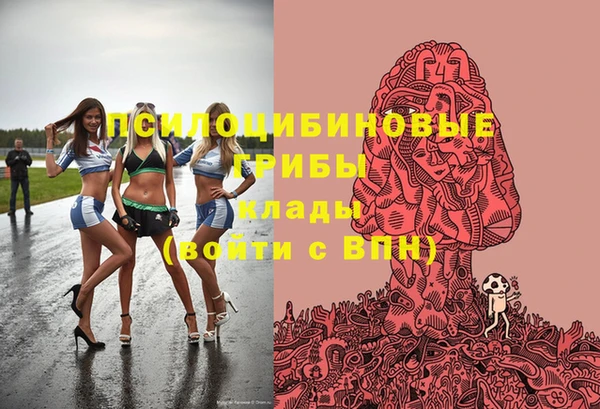 шишки Абинск