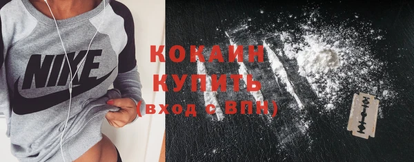 шишки Абинск