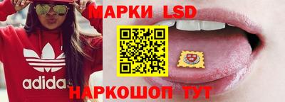 МДПВ Можга