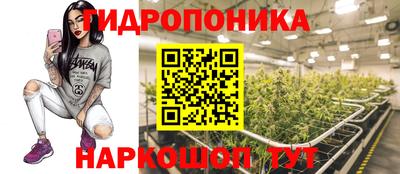 МДПВ Можга
