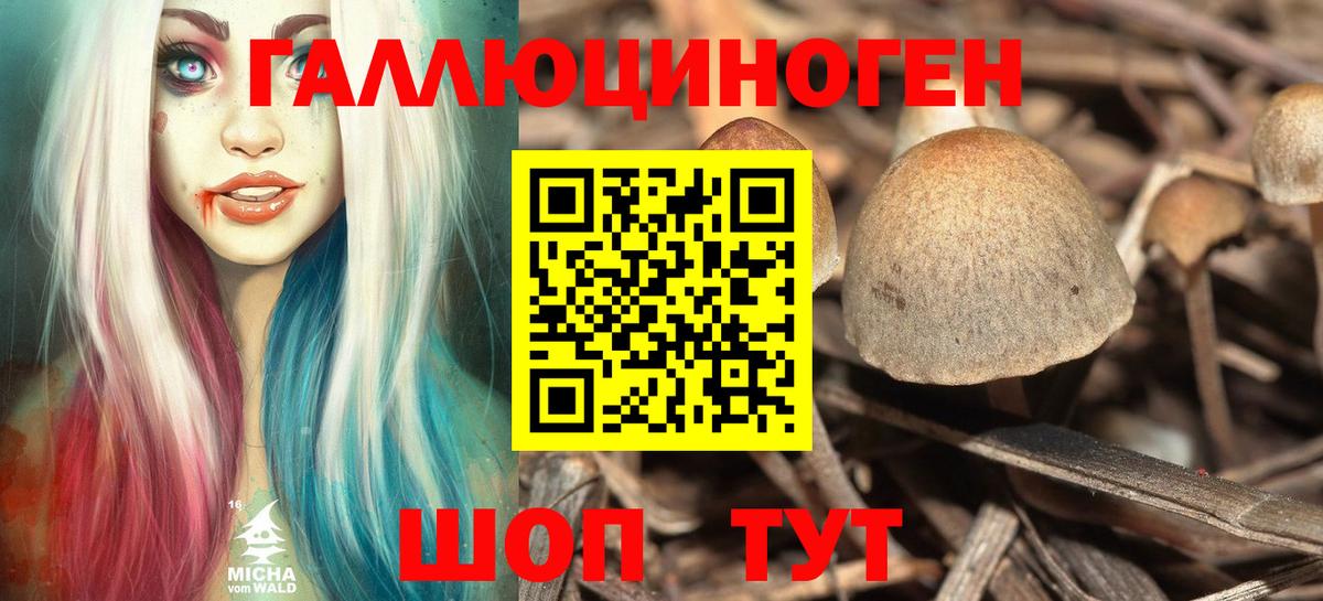 Псилоцибиновые грибы прущие грибы  Вход с VPN  Усинск 
